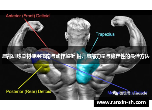 肩部训练器材使用指南与动作解析 提升肩部力量与稳定性的最佳方法