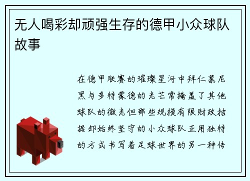 无人喝彩却顽强生存的德甲小众球队故事